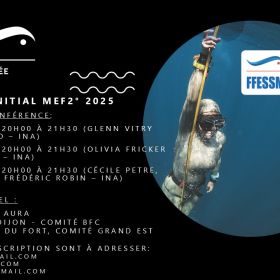 Stage initial MEF2