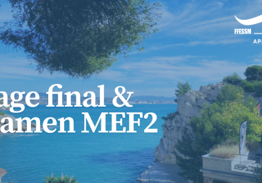 Stage final et examen MEF2
