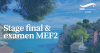 Stage final et examen MEF2